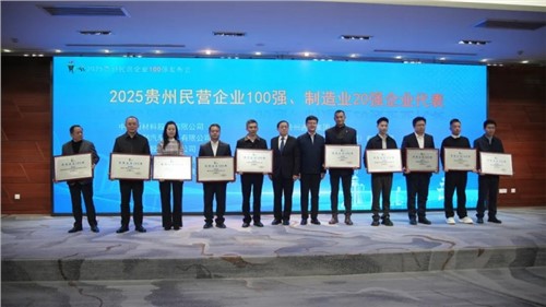 中偉股份登頂“貴州民營企業100強”榜首！